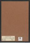 Pseudoeunotia biceps (Ehr.) Grun. (de-Toni-Nr.: Genus 105, Species 3245) Zeichnungen Sammlung Grunow Mappe 03484 (Herbarium_W_Grunow_drawings_Folder_03484)